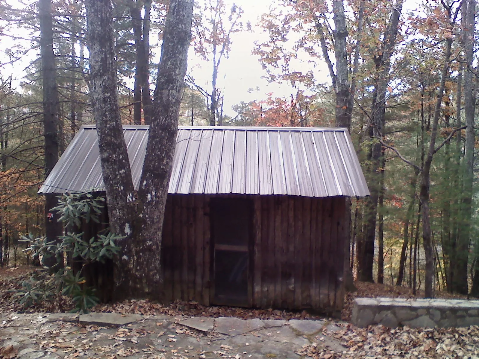 New metal gable roof on a small log shed among the trees in New Lothrop